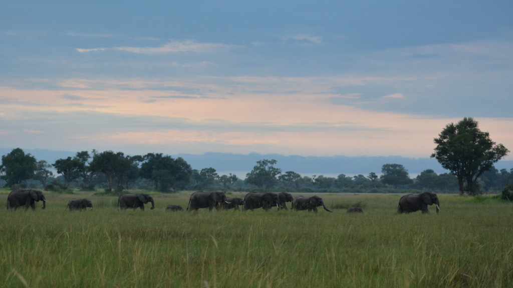 Okavango-Delta zum besten nachhaltigen Safariziel 2025 gekürt - Go Get it Safaris GmbH ist ein kleines Unternehmen mit grosser Safari-Erfahrung 1