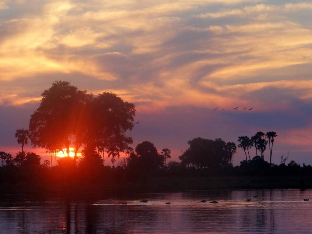 Beispiel Beitrag 4 - Go Get it Safaris GmbH ist ein kleines Unternehmen mit grosser Safari-Erfahrung