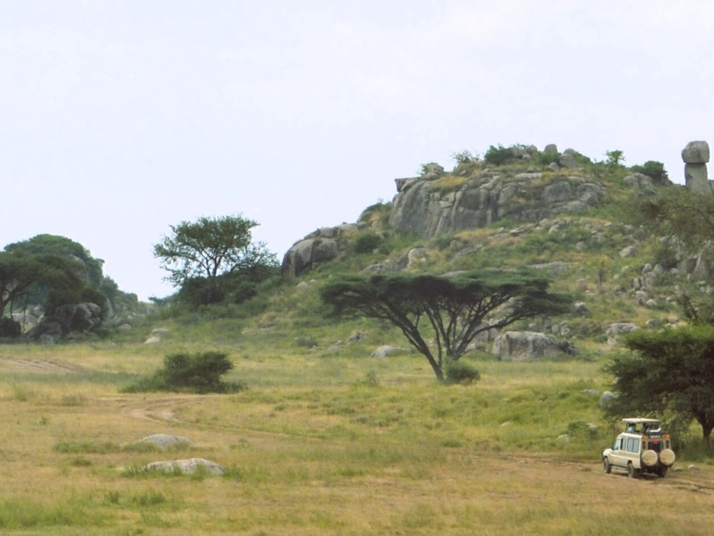 Discover Tansania - Go Get it Safaris GmbH ist ein kleines Unternehmen mit grosser Safari-Erfahrung 2